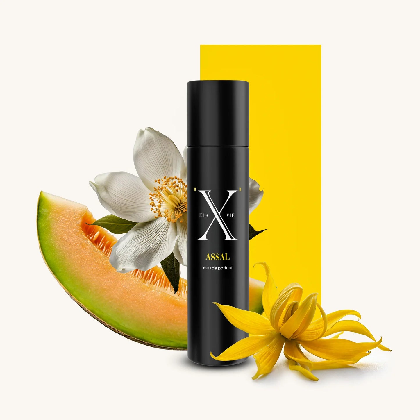 Xelavie Assal Eau de Parfum 2ml Duftprobe